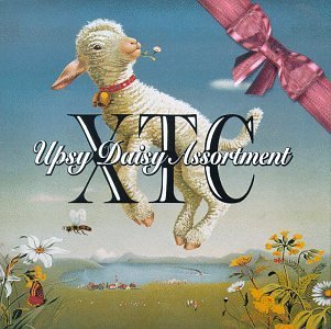 Xtc/Upsy Daisy Assortment